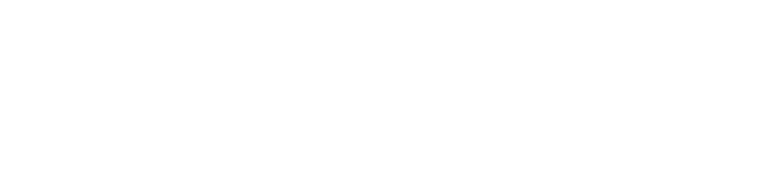 chargelytics consulting